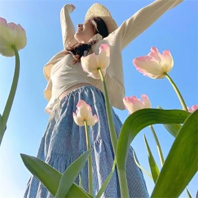 护花大臣