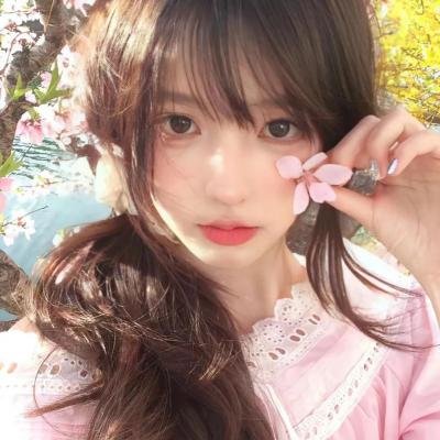 森林之境